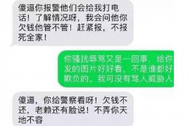 资阳区资阳区的要账公司在催收过程中的策略和技巧有哪些？